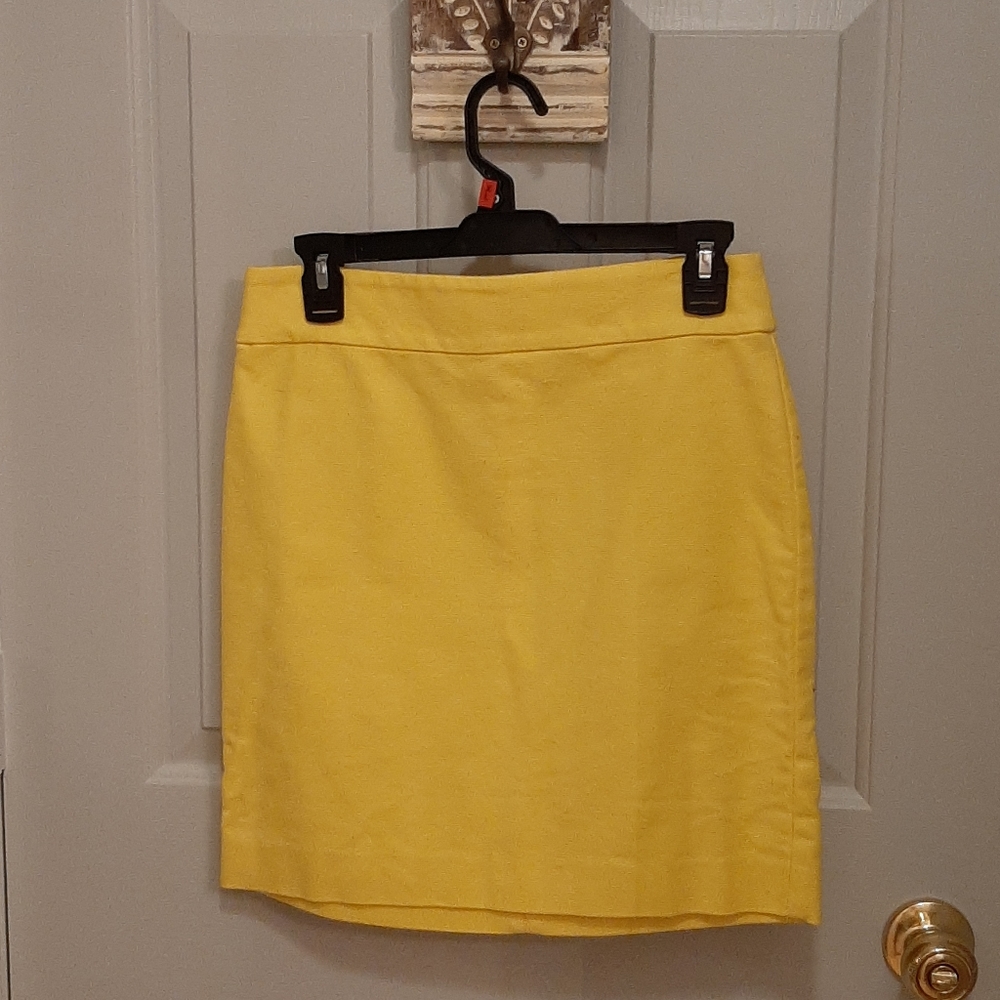 Ann Taylor Loft skirt